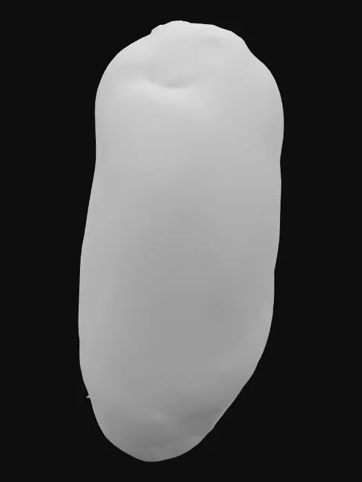 3D model for Peanut Kernel