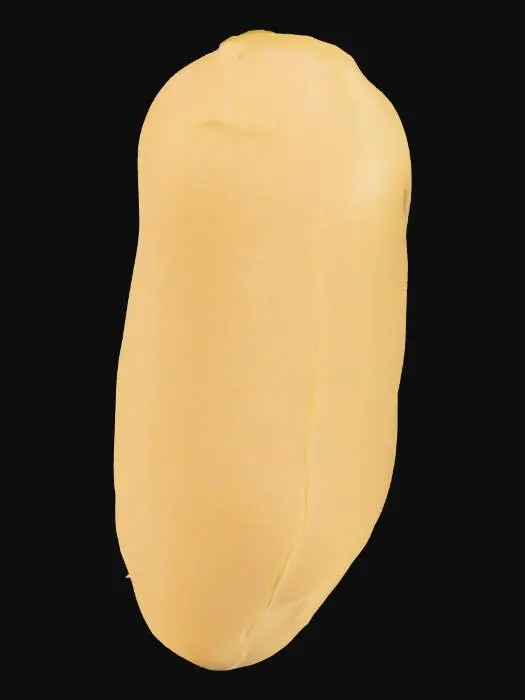 3D model for Peanut Kernel