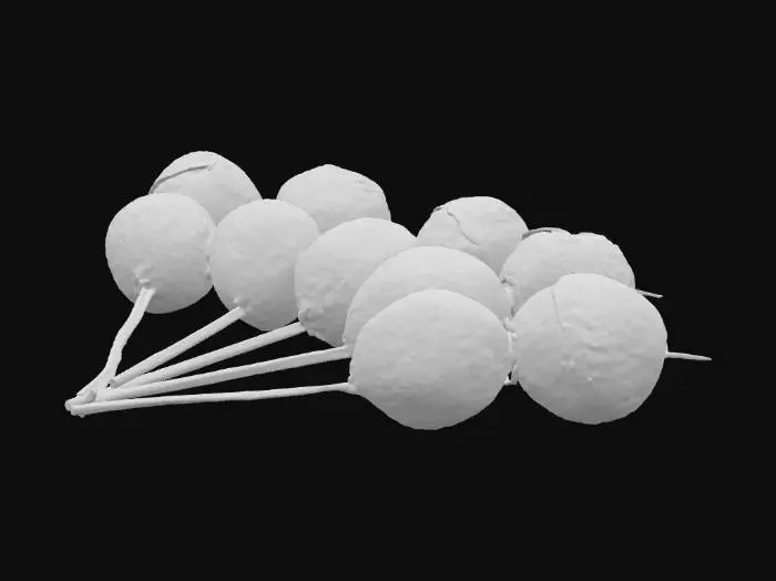 3D model for Beautifully presented skewer features perfectly grilled ginkgo nuts. Eight beautifully peeled, oval-shaped ginkgo nuts are carefully threaded onto thin bamboo skewers. Both the skewers and the nuts are cooked to perfection. The nuts' surfaces are dry, with delicate heat-induced wrinkles and no artificial sheen whatsoever. The nuts' surfaces are clearly charred in places, a testament to the exquisite grilling that brings out their natural flavor. The overall impression is a blend of sophisticated simplicity and traditional Japanese culinary techniques, highlighting the delicate texture of the ginkgo nuts and their carefully grilled appearance. The lighting is soft and warm, allowing the deep char to stand out against the pale green of the nuts.