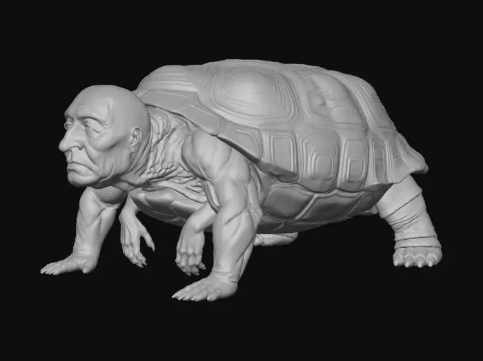 3D model for Elder Tortoise Transformation