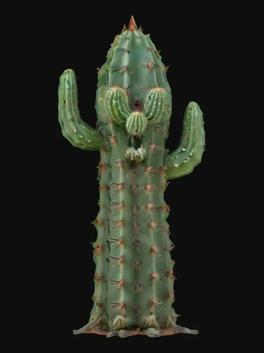 3D model for [Arizona] fantasy elemental cactus, cactus body and thorns, whole body similar to saguaro cacti, menacing appearance, detailed menacing face, extremely detailed, high resolution texture, epic stance, #AroundTheWorld#