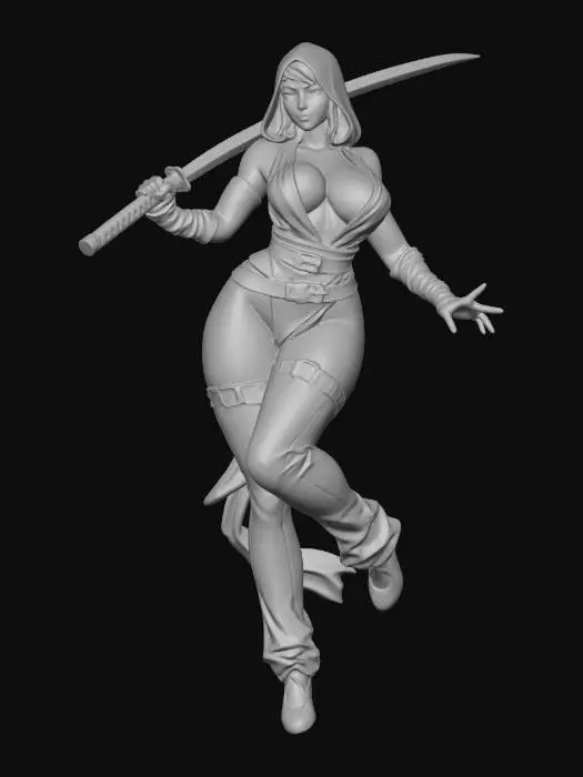 3D model for Miss Samurai