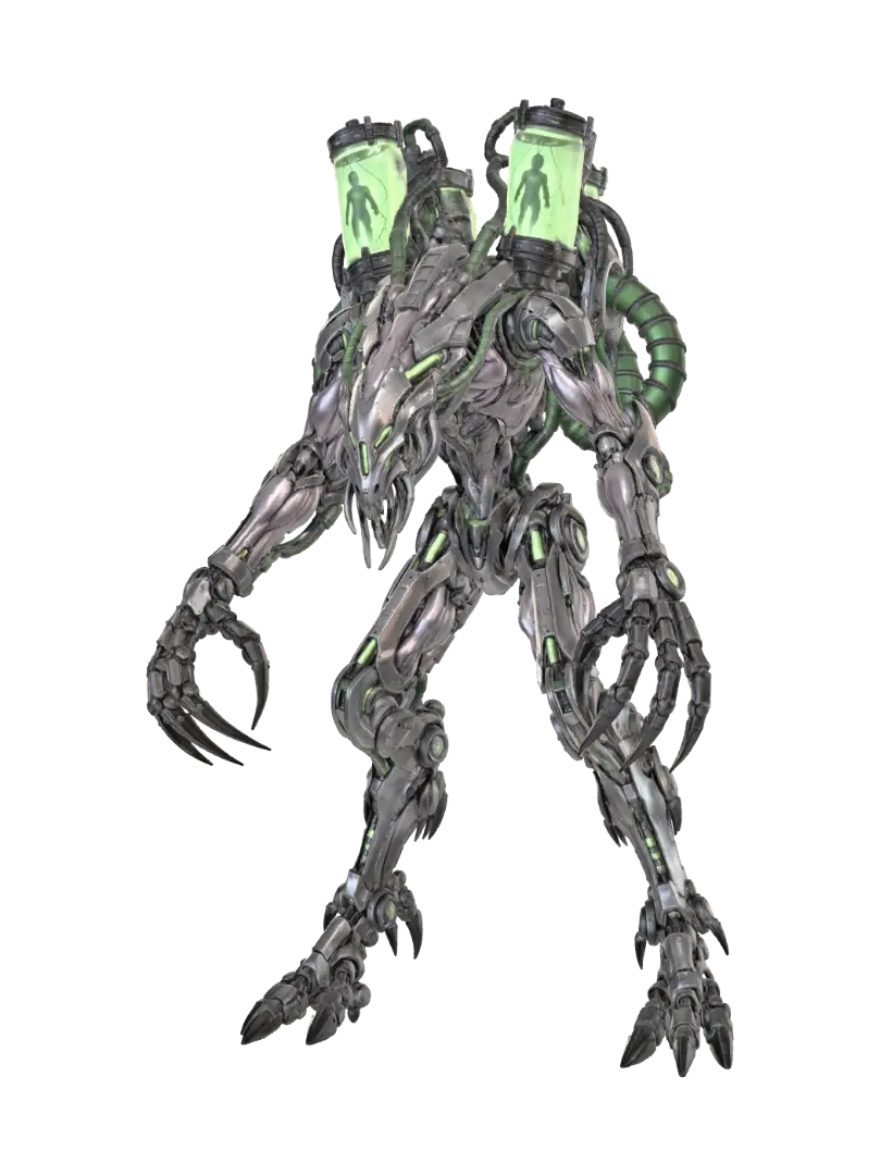 biomech