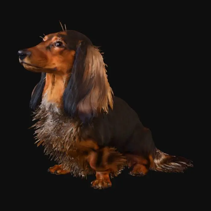 3D model for Dachshund in the City