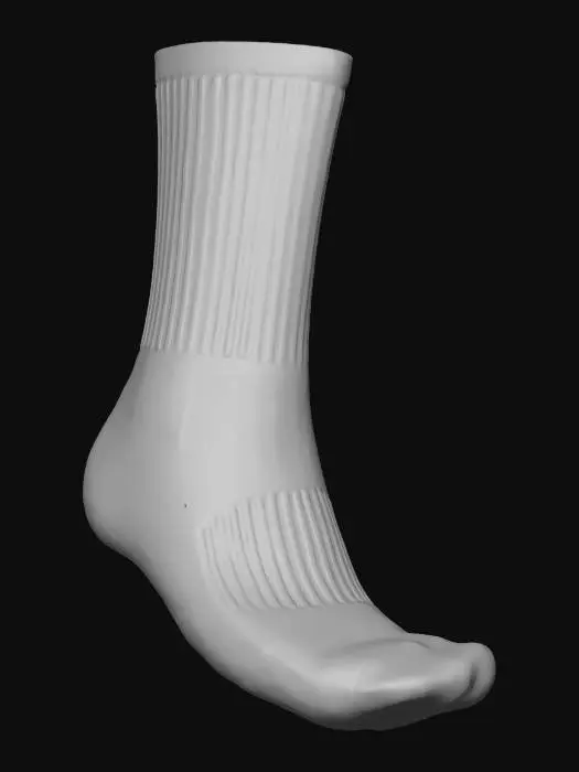 3D model for White ribbed crew sock