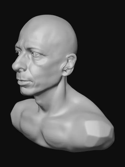 3D model for Close-Up of a Bald Man