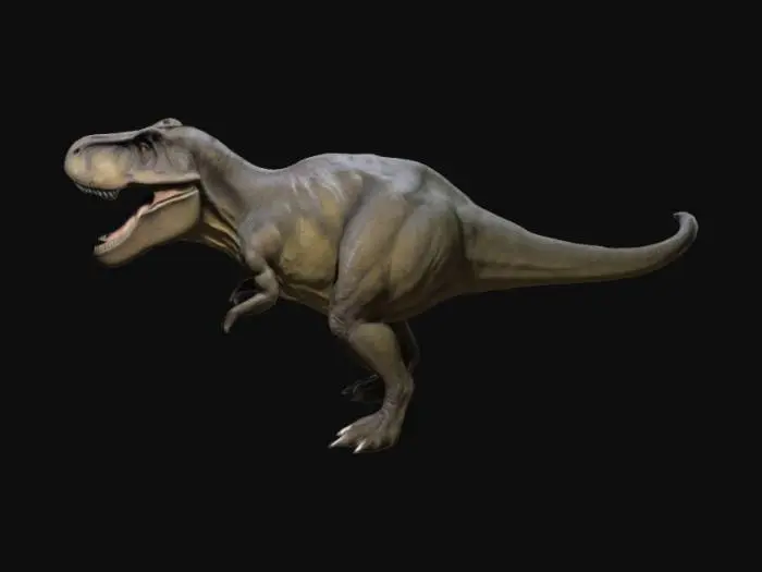 3D model for Tiranosaurio rex, Realista