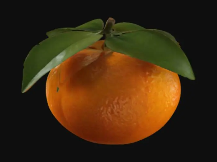 3D model for Mandarina, Realista, Fruta