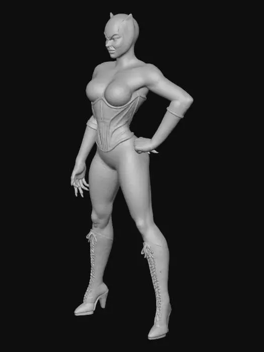 3D model for Catwoman Illustration
