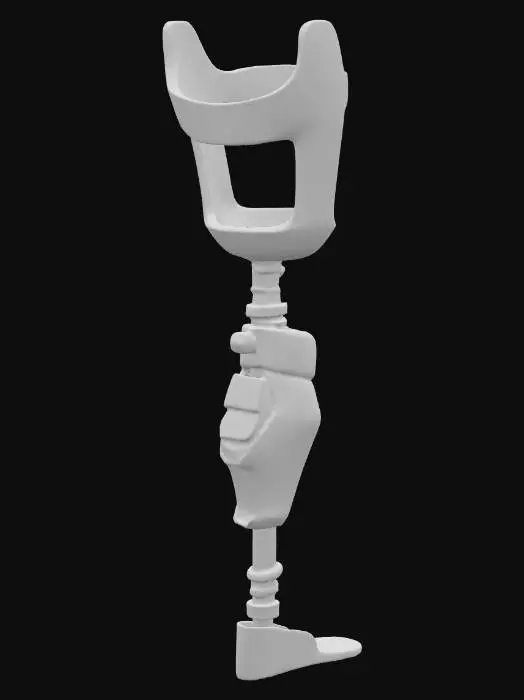 3D model for Prosthetic Leg Design