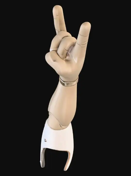 3D model for Rock On Prosthetic Arm