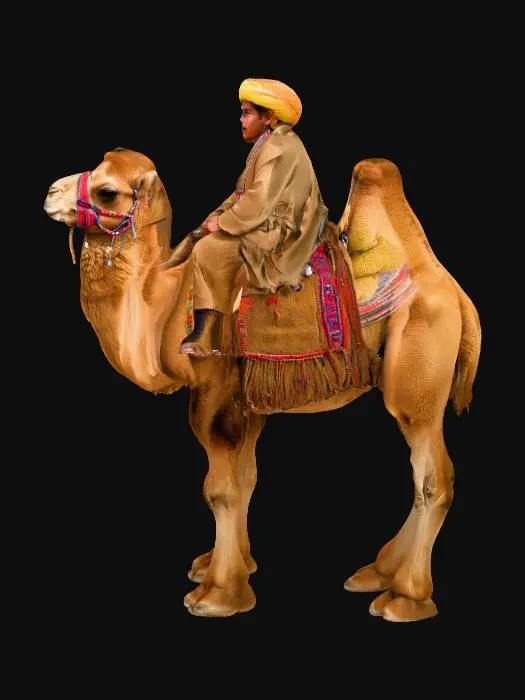 3D model for Traveler's Companion