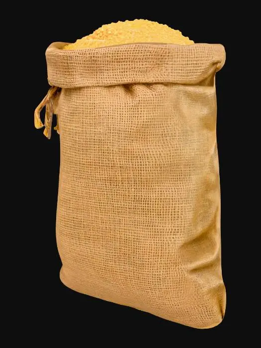 3D model for Sack of Grains