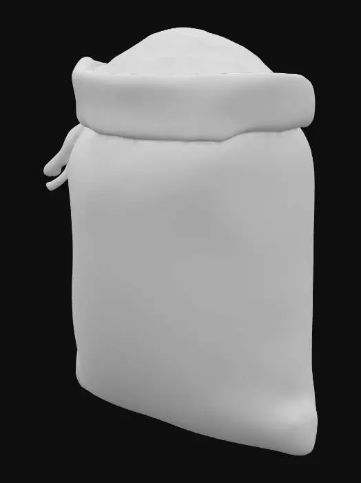 3D model for Bag of Rice