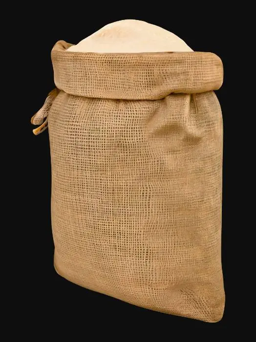 3D model for Bag of Rice