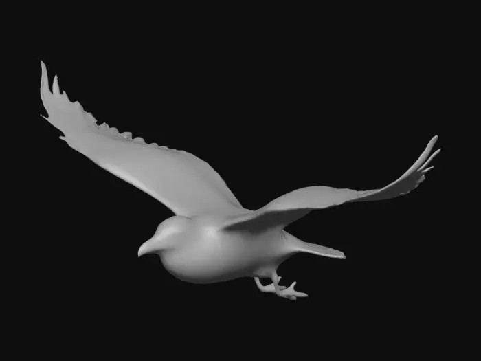 3D model for Flying Seagull