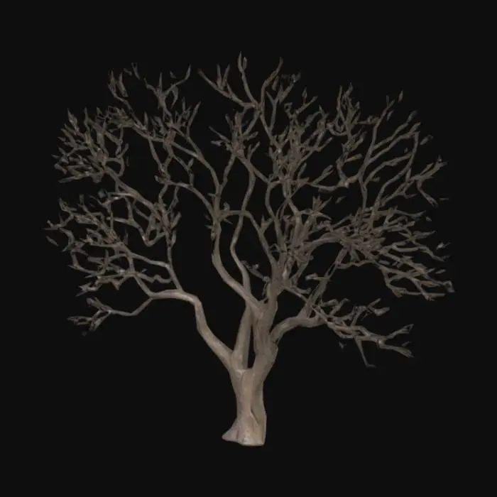 3D model for a tree with no leaf medium height medium thickness , have dry branches