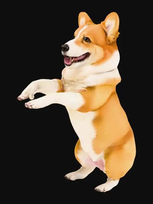 3D model for Корги на задних лапах