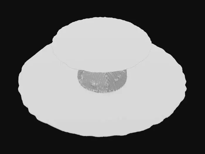 3D model for black hole with a singularity