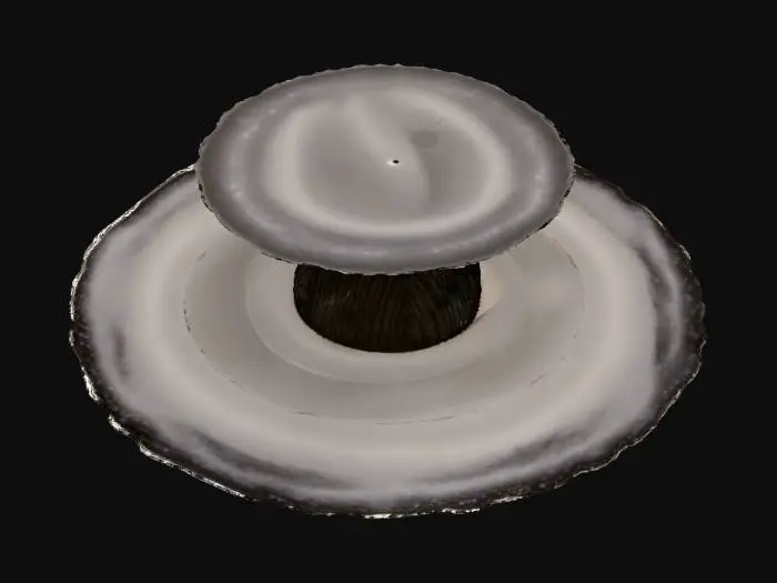 3D model for black hole with a singularity