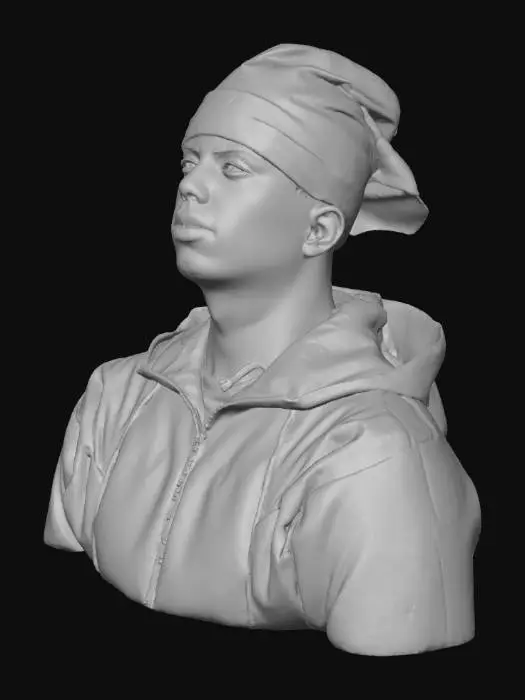 3D model for Portrait anime