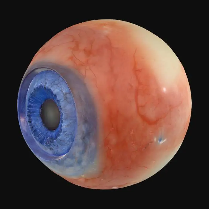 3D model for Eye Sphere