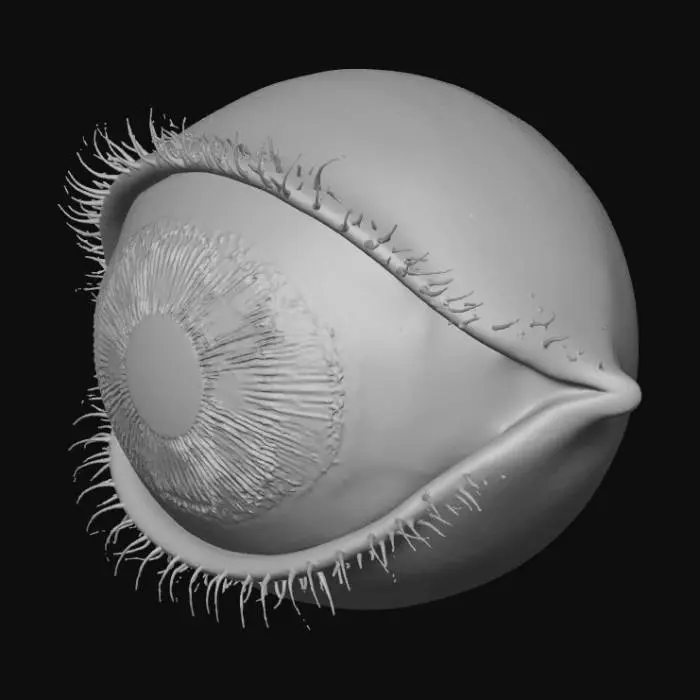 3D model for crée moi un oeil humain