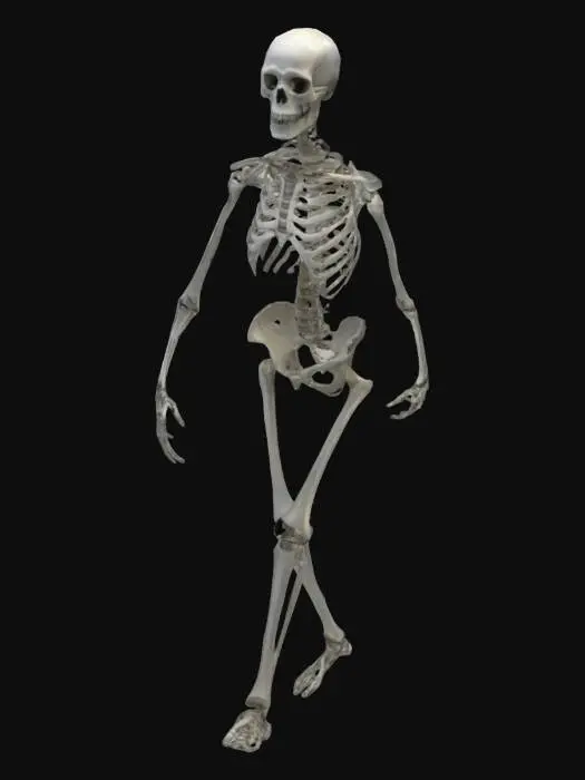 3D model for A simple unarmared skelington 