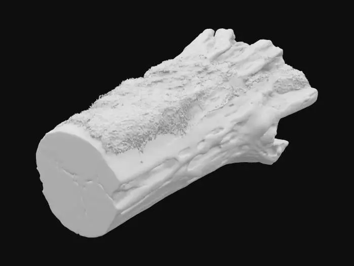 3D model for Mossy Log