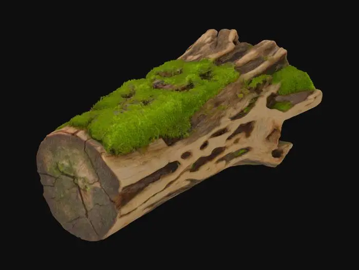 3D model for Mossy Log
