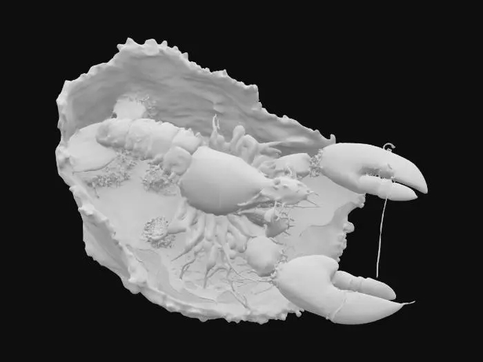 3D model for Lobster's Illusion, #ocean#