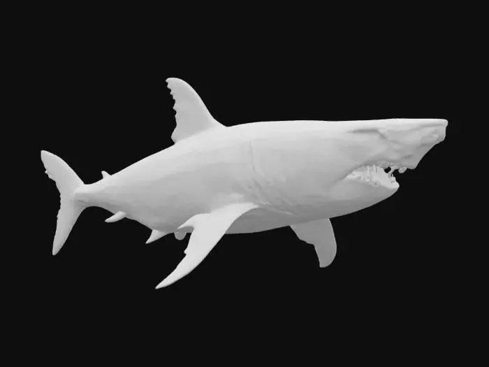 3D model for Megalodon Majesty, #ocean#