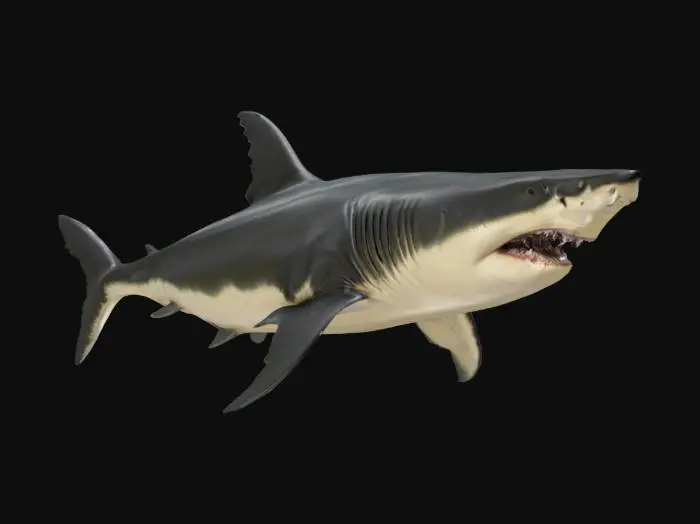 3D model for Megalodon Majesty, #ocean#