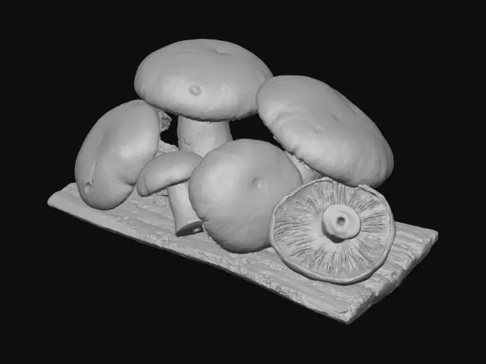 3D model for Mushroom Medley, #Thanksgiving#