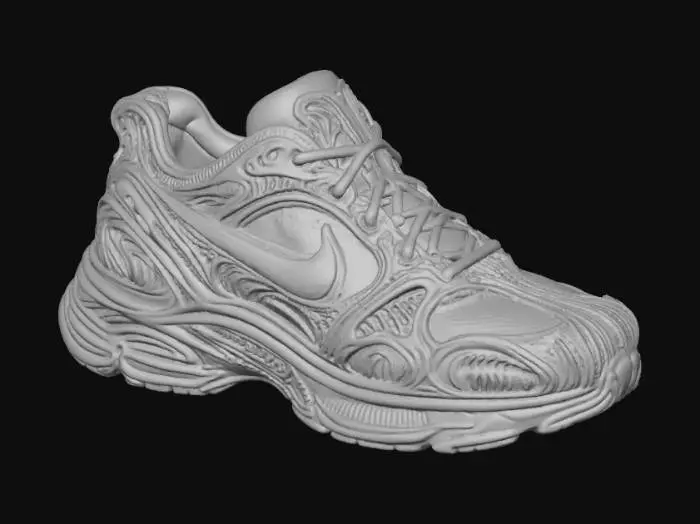 3D model for Biomorphic Sneaker Design