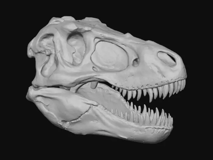 3D model for Fossilized Odyssey