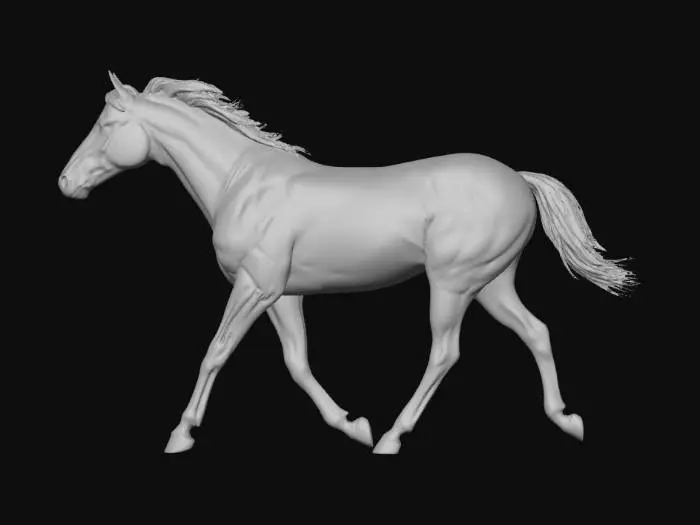 3D model for Graceful Gallop