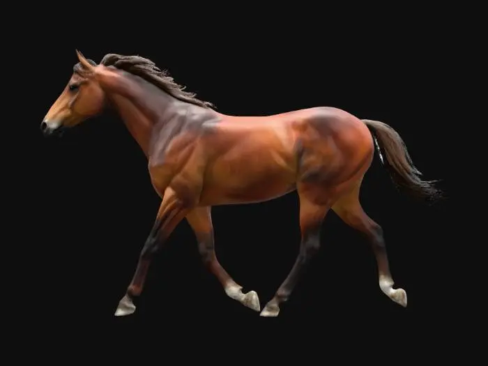 3D model for Graceful Gallop