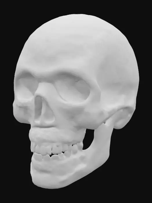 3D model for Moustache Skull