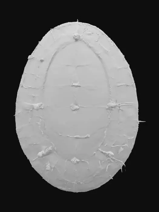 3D model for Maasai Shield