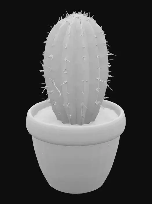 3D model for Cactus in a Clay Pot