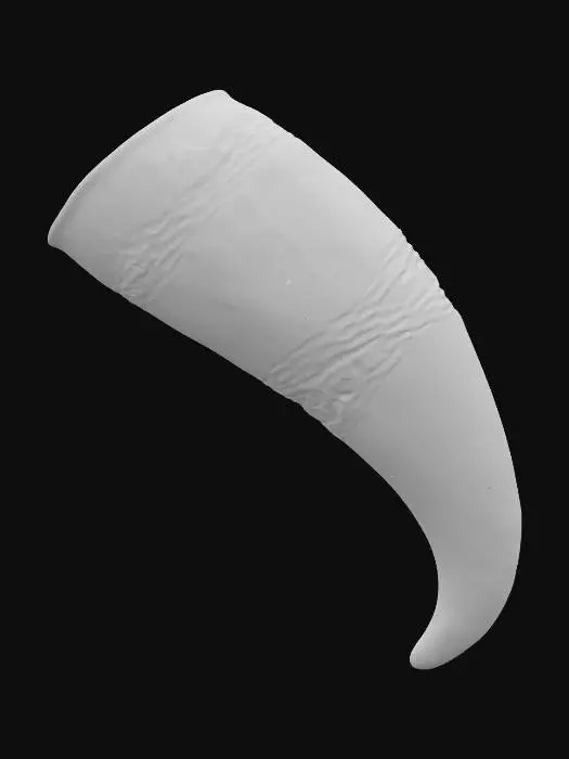 3D model for Drinking Horn