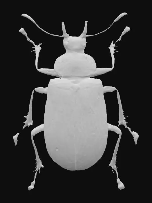 3D model for Emerald Jewel Beetle