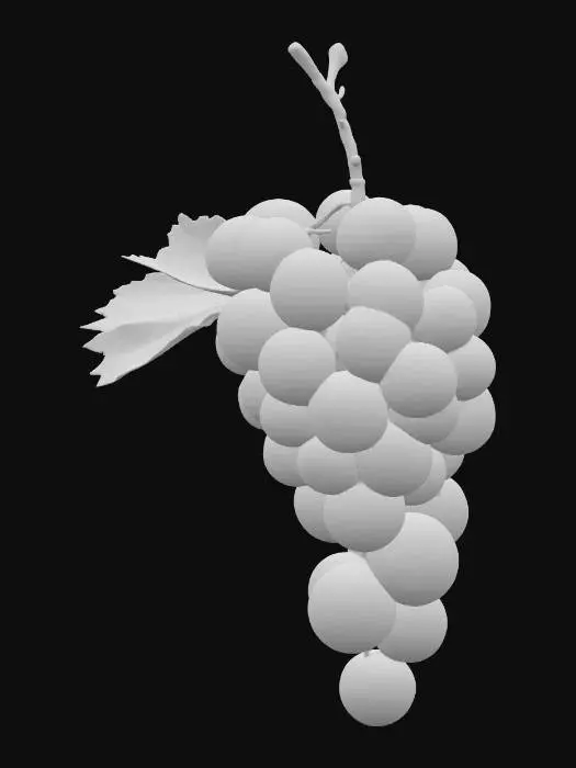 3D model for Grapevine Cluster