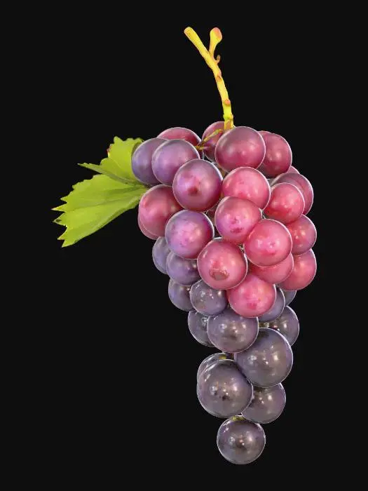 3D model for Grapevine Cluster
