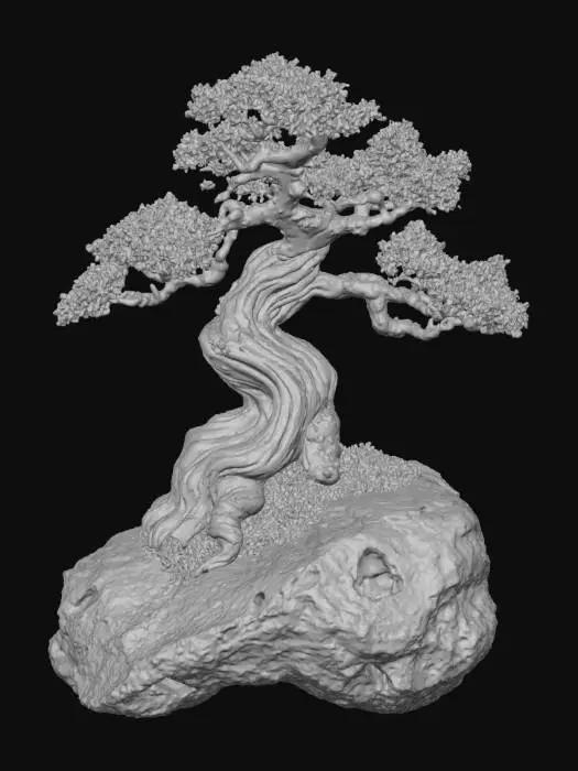 3D model for Resilient Harmony