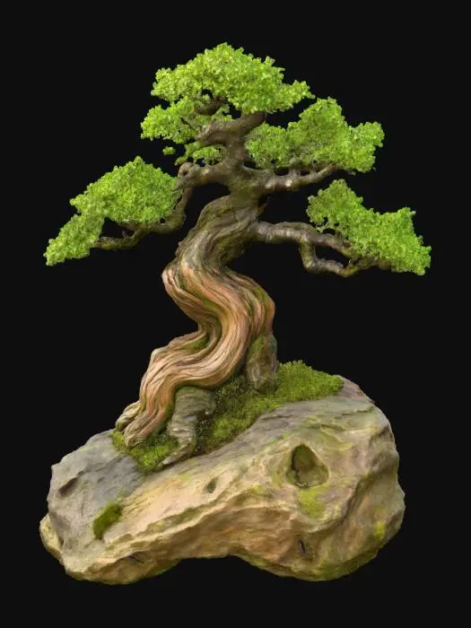 3D model for Resilient Harmony