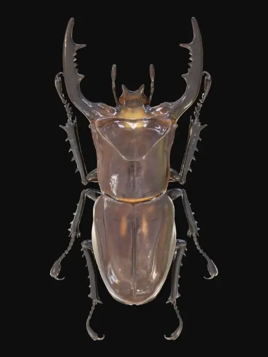 3D model for Stag Beetle Majesty