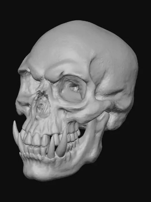 3D model for Primal Mark