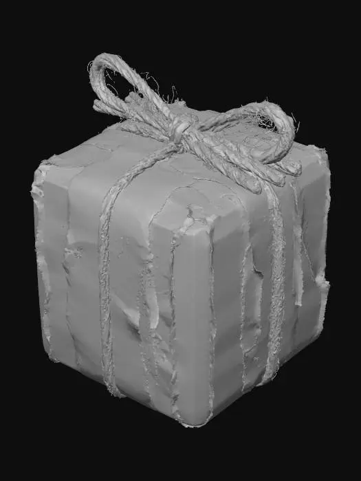 3D model for Gift of Texture, #Christmas2025#